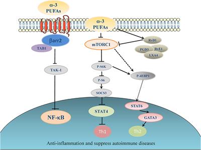 Therapeutic Potential of ω-3 Polyunsaturated Fatty Acids in Human Autoimmune Diseases